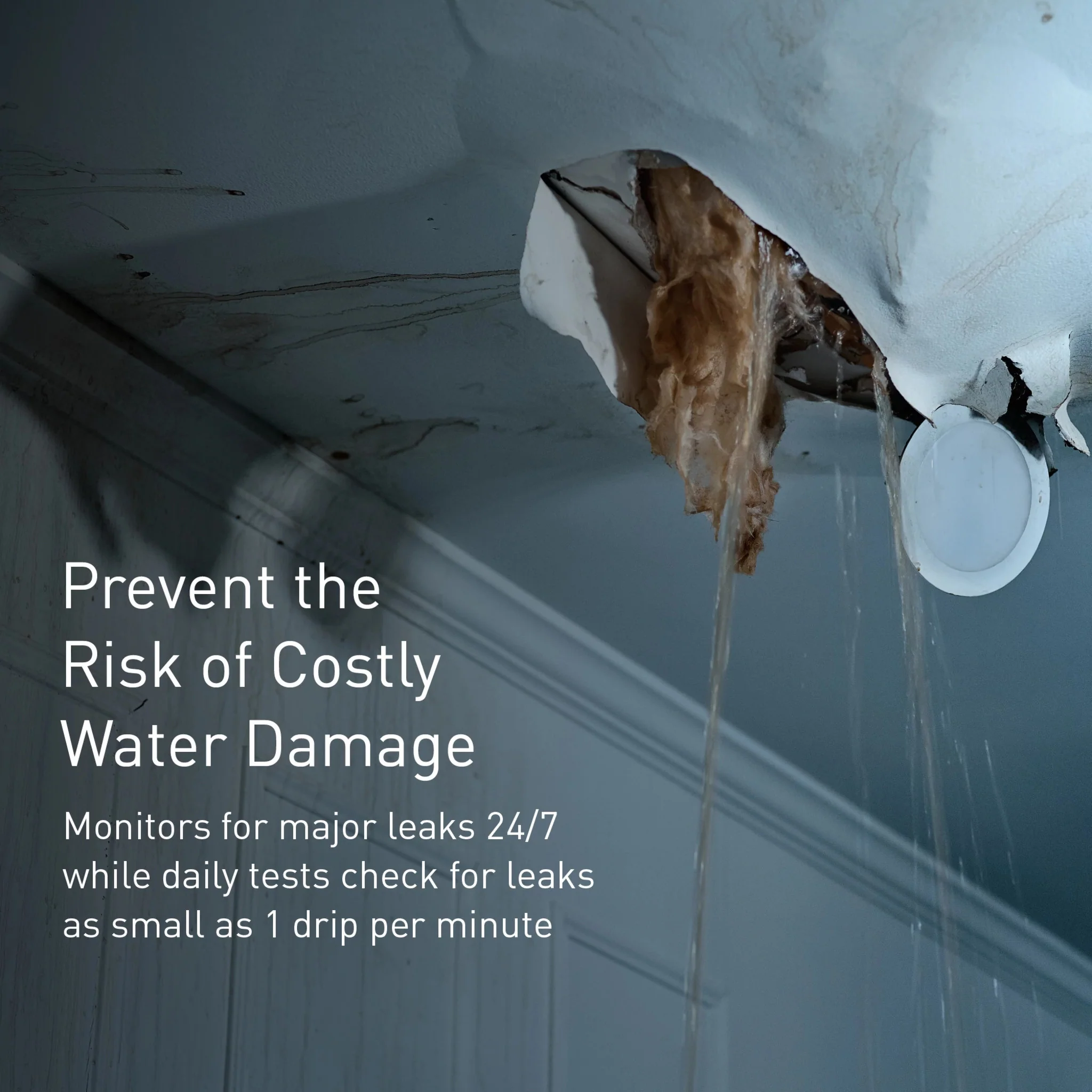 Flo by Moen Smart Water Monitor